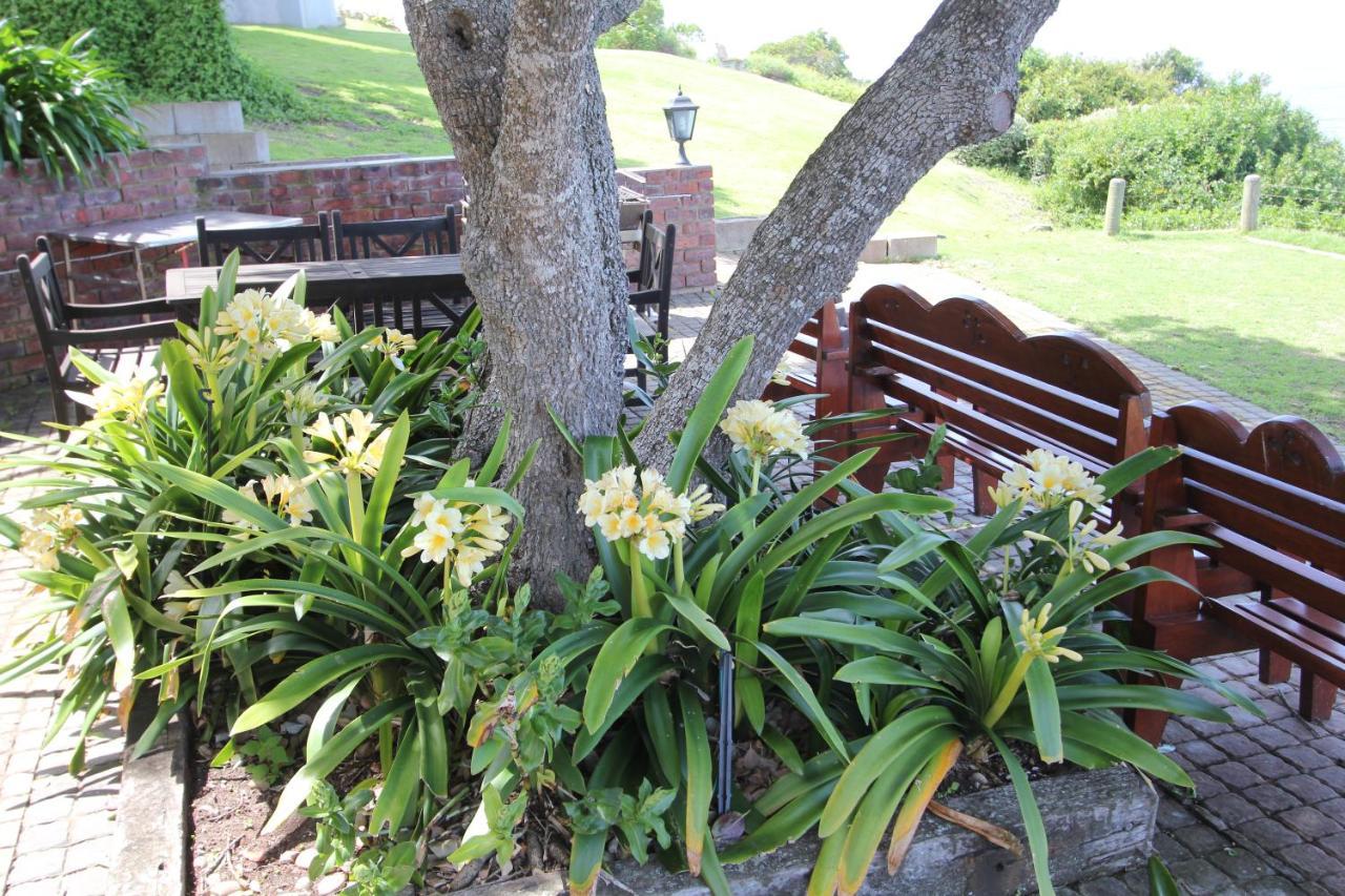 Appartement Imperani à Plettenberg Bay Extérieur photo